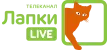 Лапки Live Лапки Live